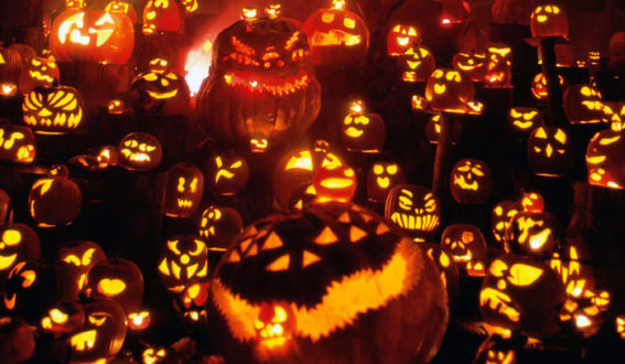 Best Halloween Party Themes & Decoration Ideas