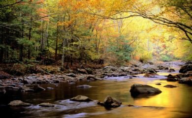 100 Most Beautiful & Amazing Nature HD Wallpapers – Part 1